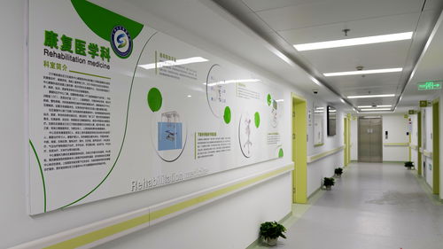 内环内规模最大 新增102张床位,静安居民家门口迎来 医疗升级 专业设计服务